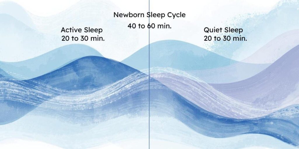 Visual representation of newborn sleep cycles showing active and quiet sleep phases